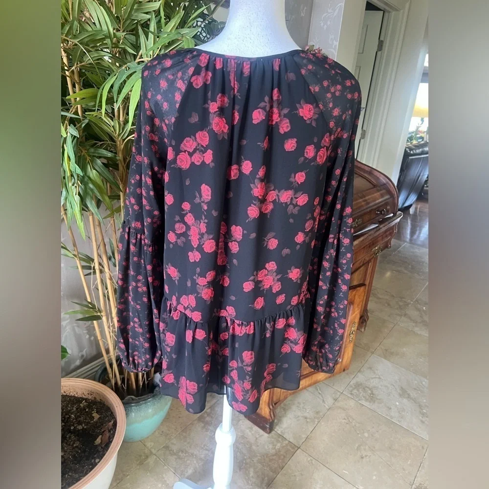 Michael Kors, ladies, long sleeve, sheer blouse, size, small excellent condition